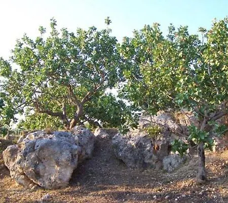 Bed & Breakfast Rosalia